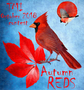 TMI October 2018 contest stamp - Free image #456311